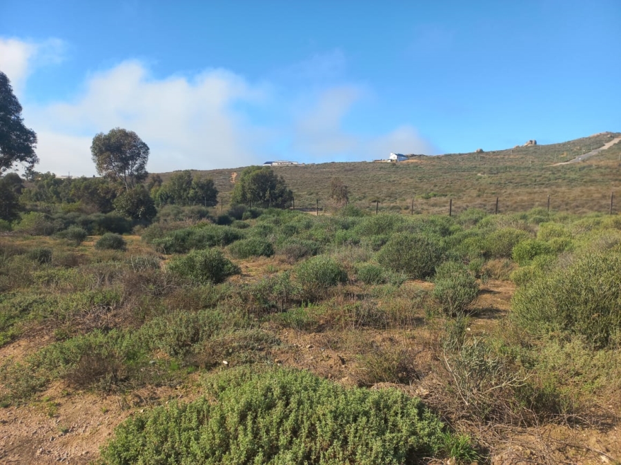 0 Bedroom Property for Sale in Steenbergs Cove Western Cape